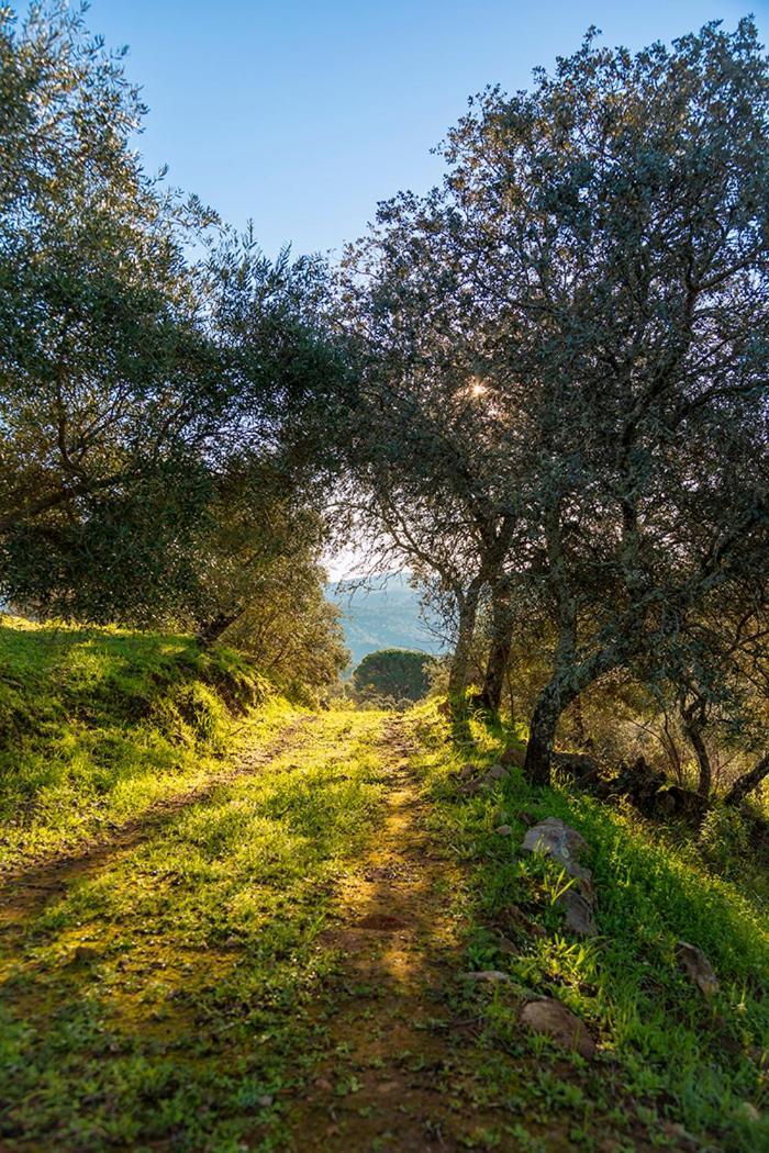 Villaviciosa de Córdoba Isla Virgen 빌라 외부 사진